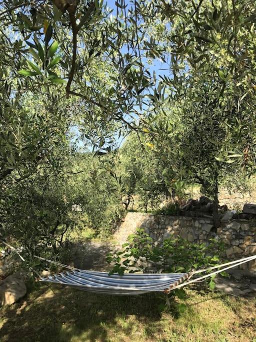 Villa Viani Villa Berio Due - Tuija מראה חיצוני תמונה