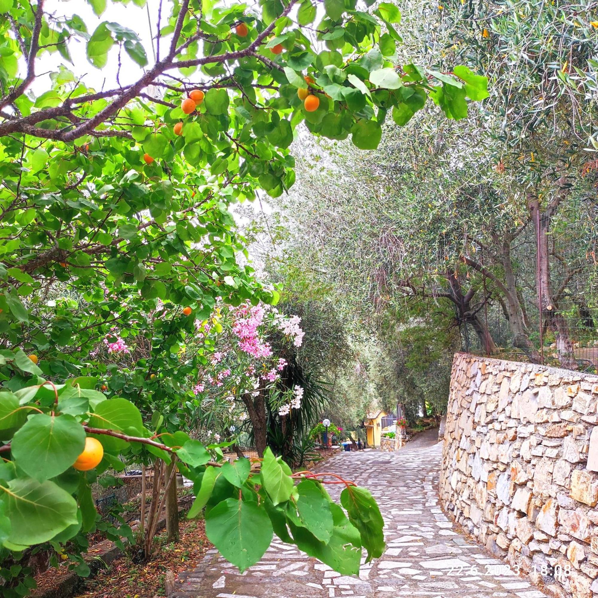 Villa Viani Villa Berio Due - Tuija מראה חיצוני תמונה