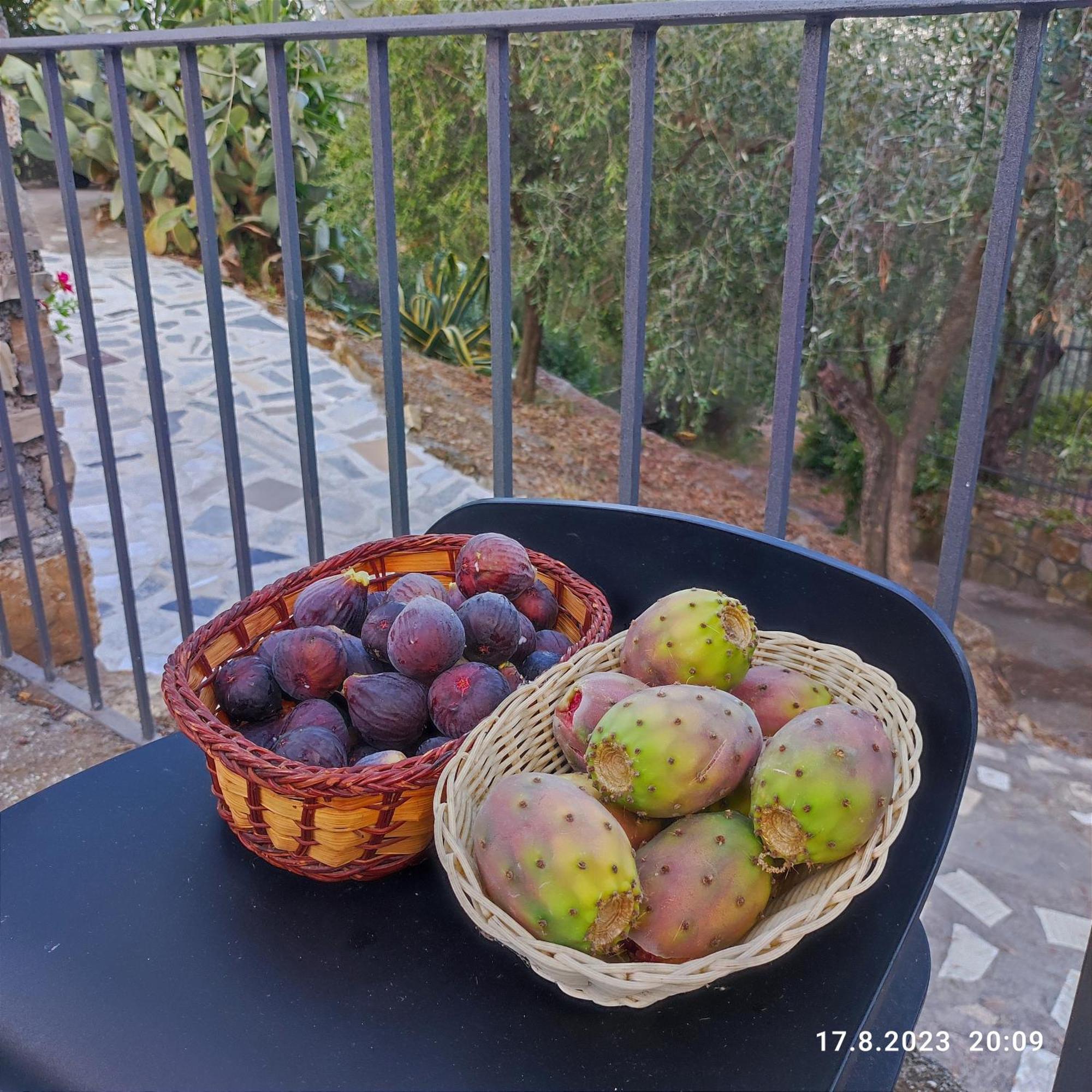 Villa Viani Villa Berio Due - Tuija מראה חיצוני תמונה